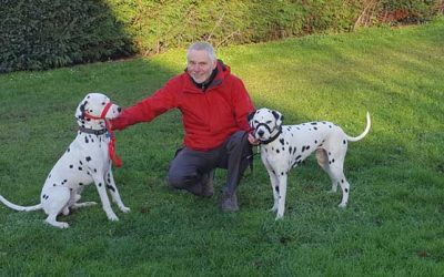 Meet the Shrewsbury Dog Trainer…