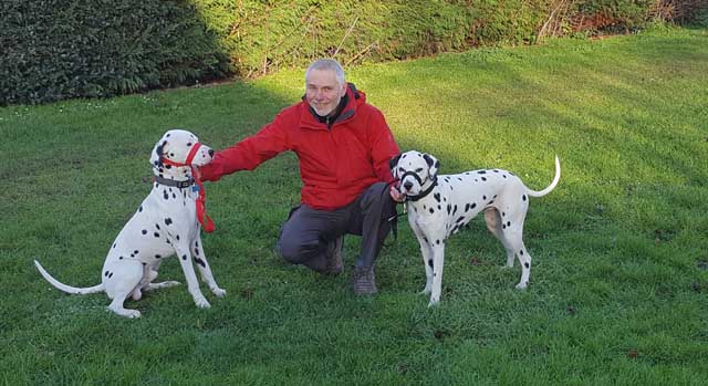 Dog behavioural training in Shrewsbury